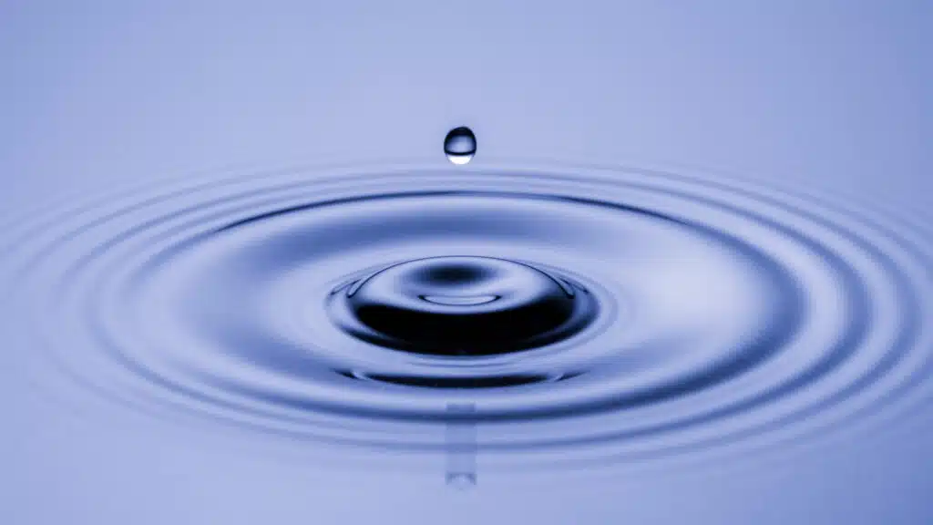 Trauma im Körper – wie das Nervensystem auf belastende Erfahrungen reagiert  